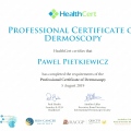 Powiększ obraz: certificate 11