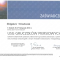 Powiększ obraz: certificate 13