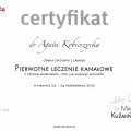 Powiększ obraz: certificate 10