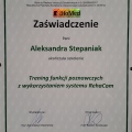 Powiększ obraz: certificate 4