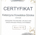 Powiększ obraz: certificate 52