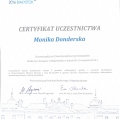 Powiększ obraz: certificate 6