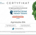 Powiększ obraz: certificate 3