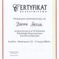 Powiększ obraz: certificate 20