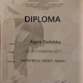 Powiększ obraz: certificate 14