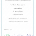 Powiększ obraz: certificate 9