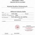 Powiększ obraz: certificate 8