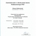 Powiększ obraz: certificate 19