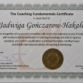 Powiększ obraz: certificate 5