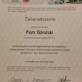Powiększ obraz: certificate 13