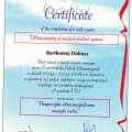Powiększ obraz: certificate 3