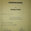 Powiększ obraz: certificate 5