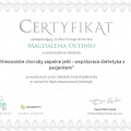 Powiększ obraz: certificate 8