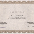 Powiększ obraz: certificate 7