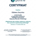 Powiększ obraz: certificate 1