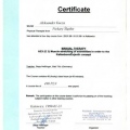 Powiększ obraz: certificate 4