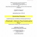 Powiększ obraz: certificate 8