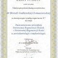 Powiększ obraz: certificate 28
