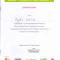 Powiększ obraz: certificate 4