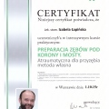 Powiększ obraz: certificate 5