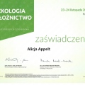 Powiększ obraz: certificate 6