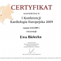 Powiększ obraz: certificate 19