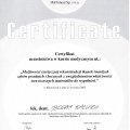 Powiększ obraz: certificate 50