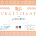 Powiększ obraz: certificate 2