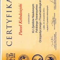 Powiększ obraz: certificate 13
