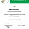 Powiększ obraz: certificate 26