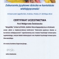 Powiększ obraz: certificate 13