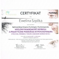 Powiększ obraz: certificate 24