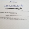 Powiększ obraz: certificate 8