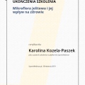 Powiększ obraz: certificate 28