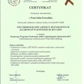 Powiększ obraz: certificate 3
