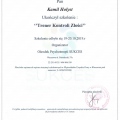 Powiększ obraz: certificate 11