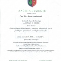 Powiększ obraz: certificate 4