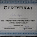 Powiększ obraz: certificate 29