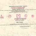 Powiększ obraz: certificate 25