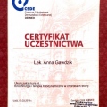 Powiększ obraz: certificate 2