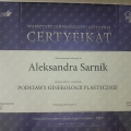 Powiększ obraz: certificate 3