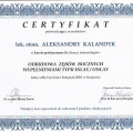 Powiększ obraz: certificate 4