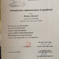 Powiększ obraz: certificate 2