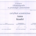 Powiększ obraz: certificate 27