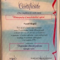 Powiększ obraz: certificate 12