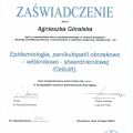 Powiększ obraz: certificate 41