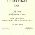 Powiększ obraz: certificate 13