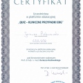 Powiększ obraz: certificate 16