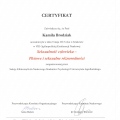 Powiększ obraz: certificate 8