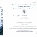 Powiększ obraz: certificate 27